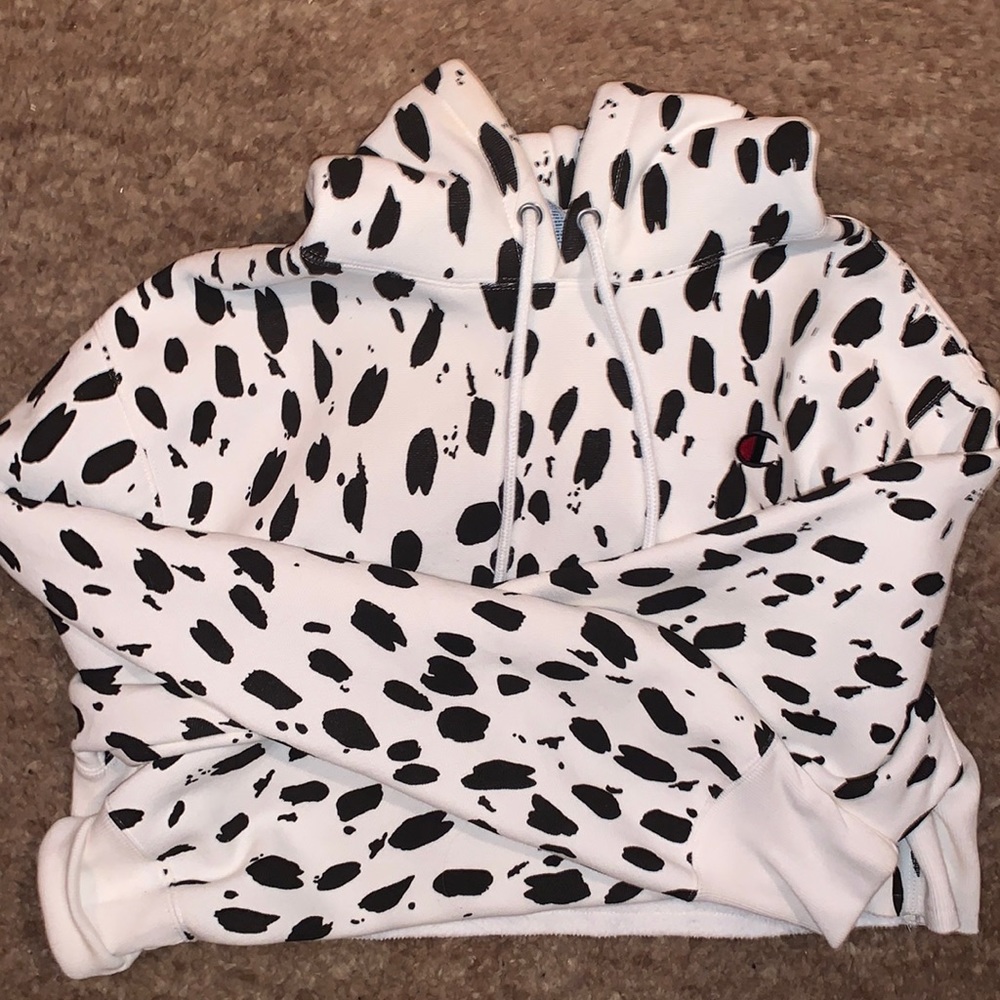 Champion Cropped Hoodie